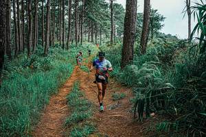 BIB: 
                            <button type="button" onclick="openModal(25708386)" class="btn btn-primary btn-sm float-right btn-popup" data-toggle="modal" data-target=".modal-high-quality">
                        <i class="fas fa-shopping-cart"></i> Add to Cart
                    </button>
                                            <button type="button" onclick="isThisMe(25708386, true)" class="btn btn-success btn-sm float-right btn-popup btn-isme hidden" data-toggle="tooltip" data-placement="bottom" title="นี่คือรูปของคุณใช่ไหม คลิกที่นี่เพื่อเอาเข้าอัลบั้ม">
                        <i class="fas fa-plus"></i> Add to album
                    </button>
                    <button type="button" onclick="isThisMe(25708386, false)" class="btn btn-warning btn-sm float-right btn-popup btn-isnotme hidden">
                        <i class="fas fa-ban"></i> Remove from album
                    </button>